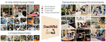 DexWild: Dexterous Human Interactions for In-the-Wild Robot Policies